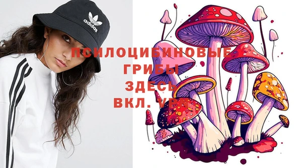 тгк Майский