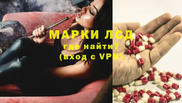 шишки Арсеньев