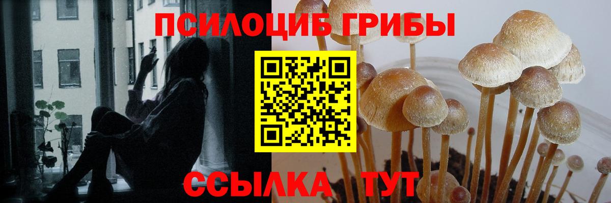 Псилоцибиновые грибы Psilocybe  Вход с VPN  Галлюциногенные грибы Psilocybe  Ухта 