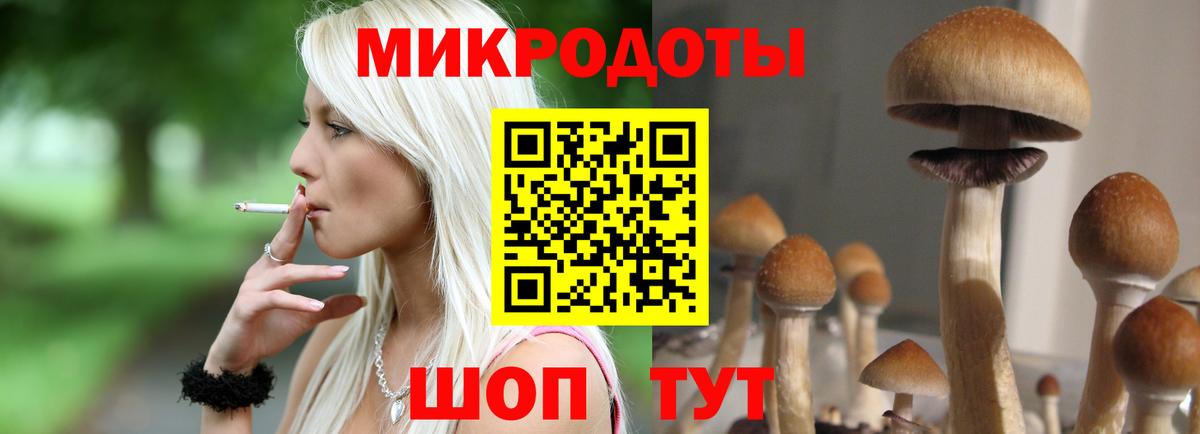 Галлюциногенные грибы Cubensis Ухта
